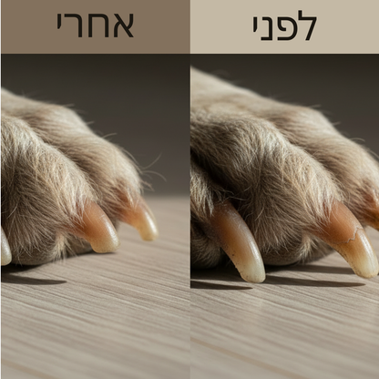 שתי תמונות של לפני ואחרי של ציפורני כלב עם טקסט מעל על משטח עץ.