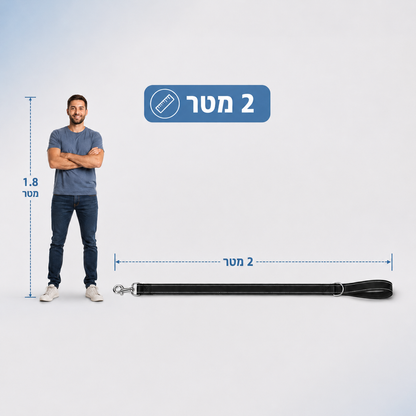רצועה מרופדת וזוהרת לכלב