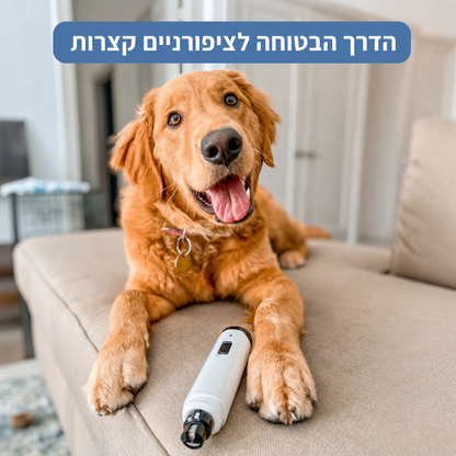 תמונה של כלב עם משייף הציפורניים לכלבים