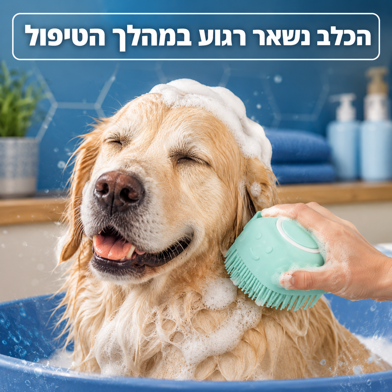 מברשת סיליקון מלטפת לרחצת כלבים וחתולים