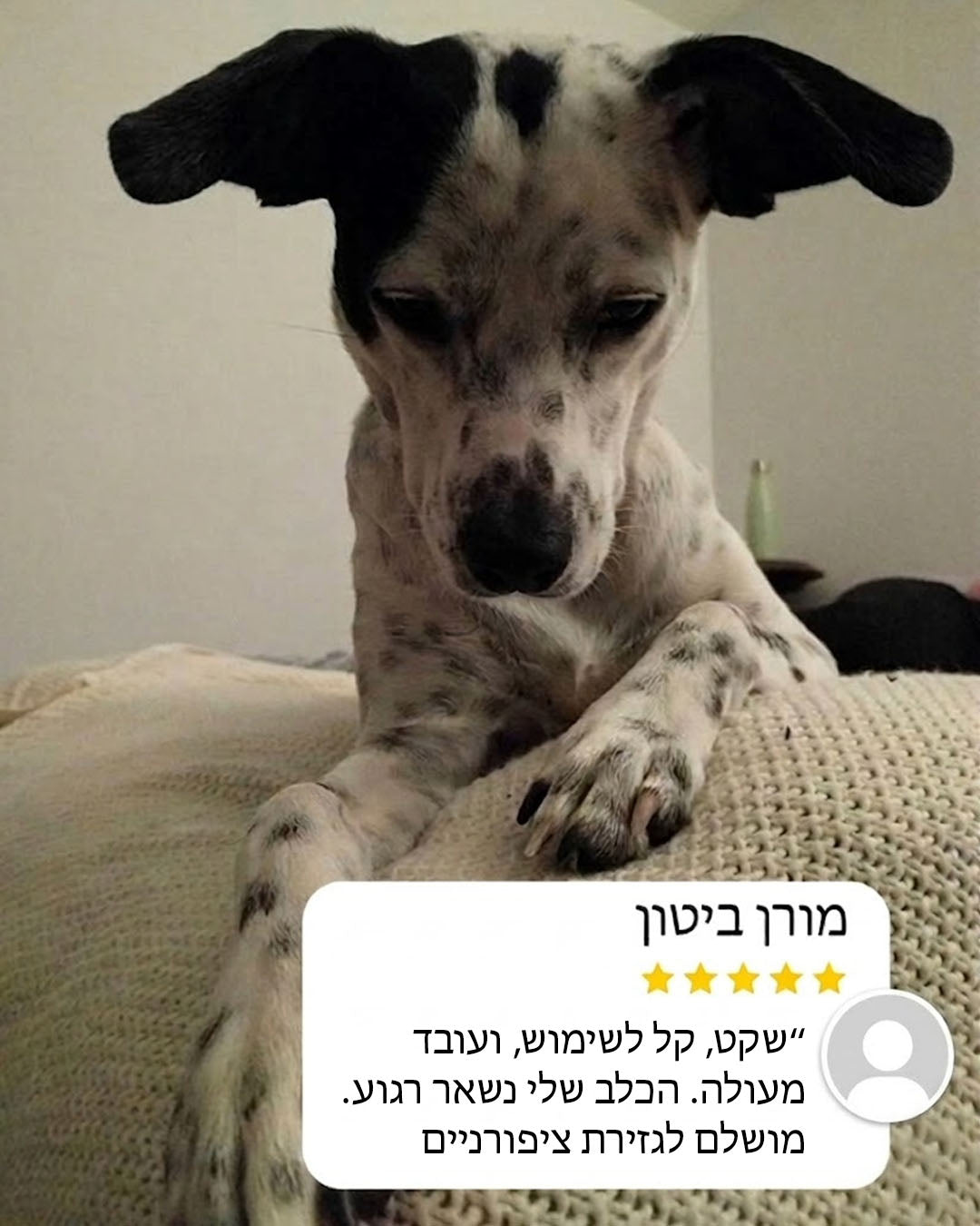 ביקורת מוצר