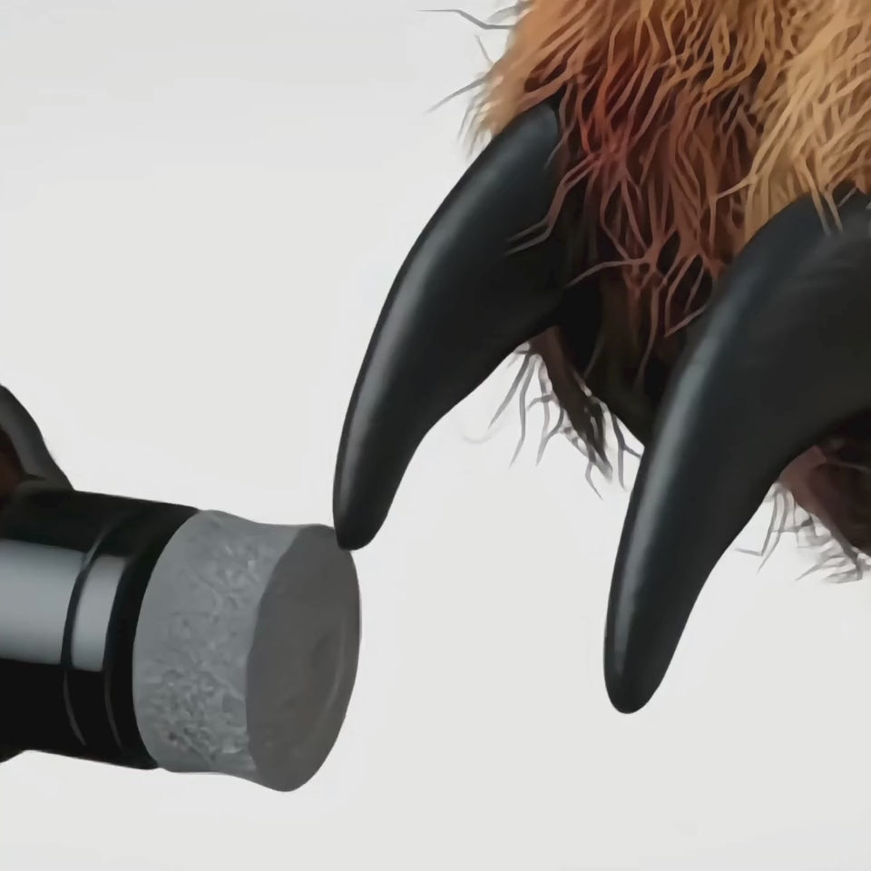 גיף של משייף הציפורניים בפעולה